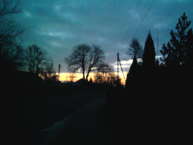 Bosko 