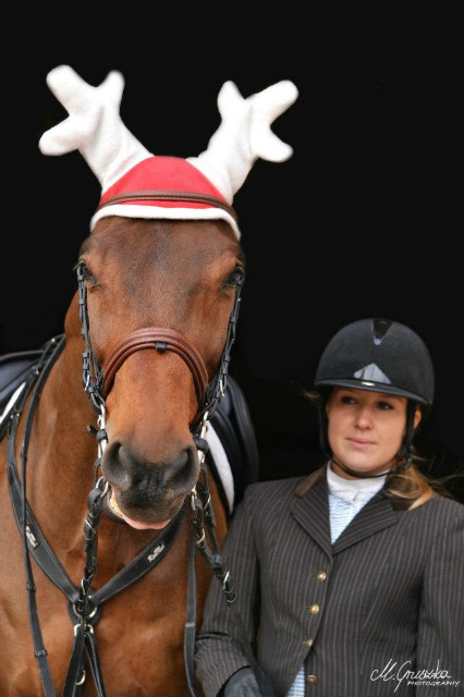 Giauro red nosed reindeer