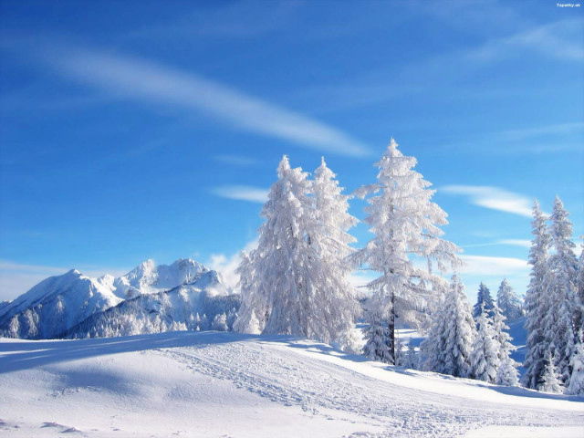 let it snow! let it snow!.......