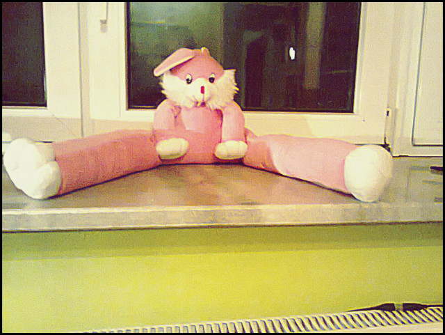 Misio . ; D.
