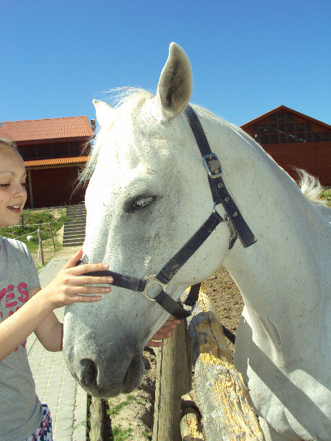 Dunak i Ola ;d