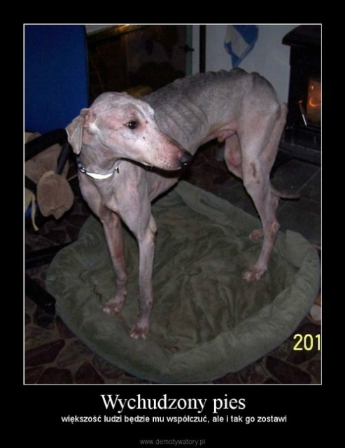 1.