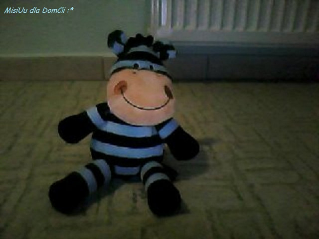 MisiUu Dla DomCii  :*