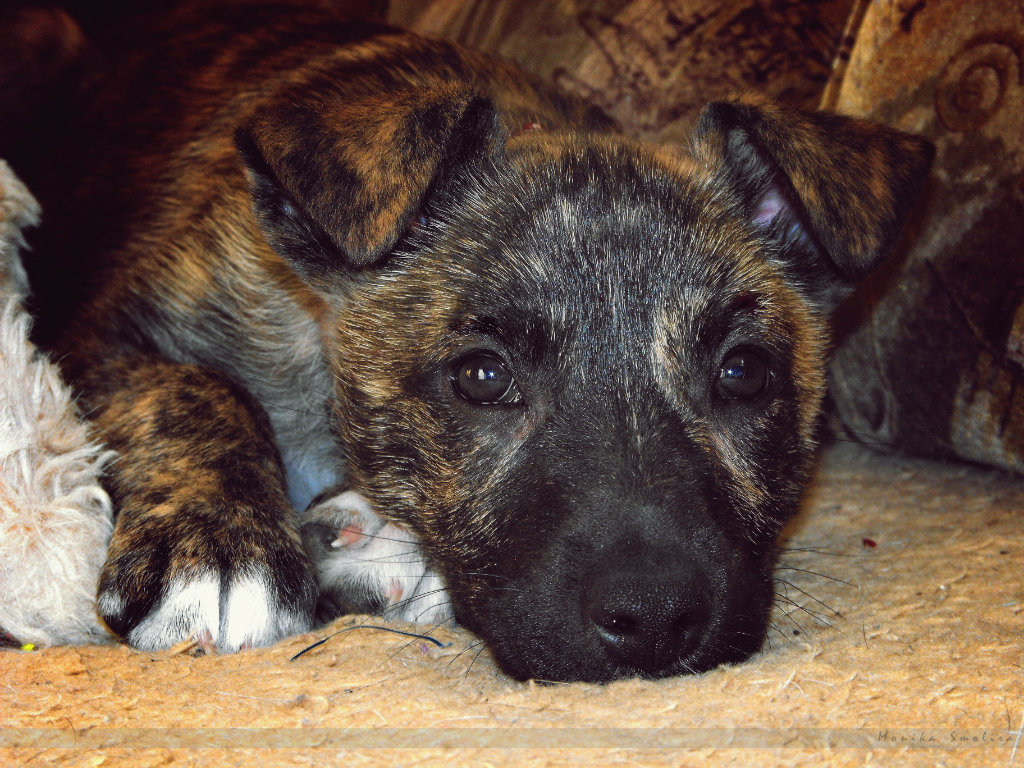 Tina :) :*