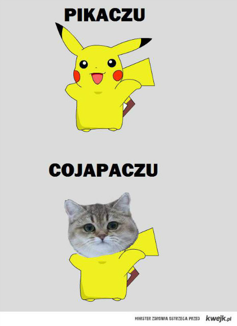 cojapaczu ;3