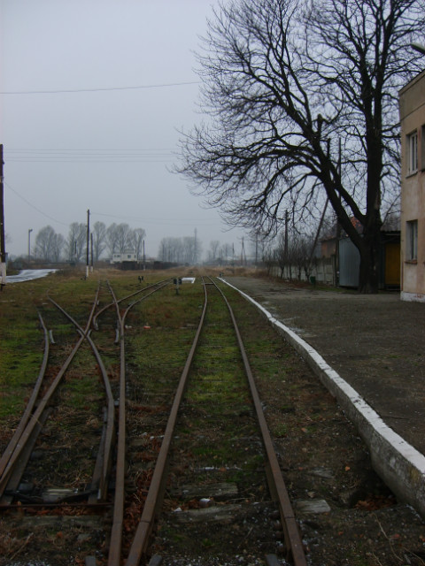 Widok w stron Ostrw