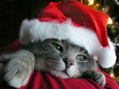 HoHoHo..!xd