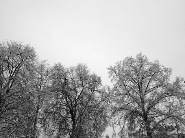cze.