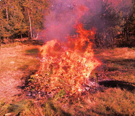 fireee !:D