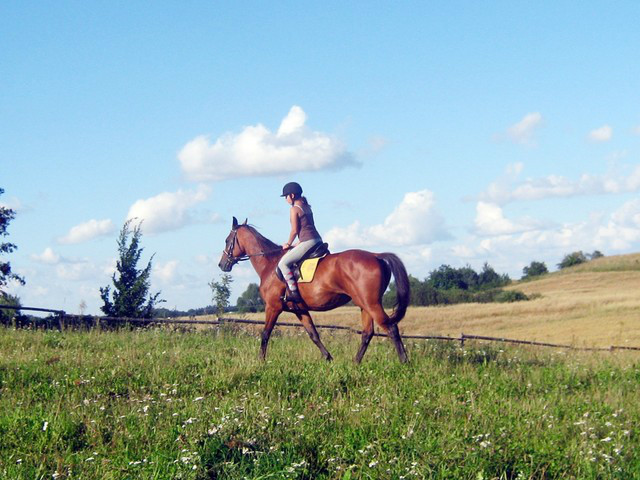 Konik:I