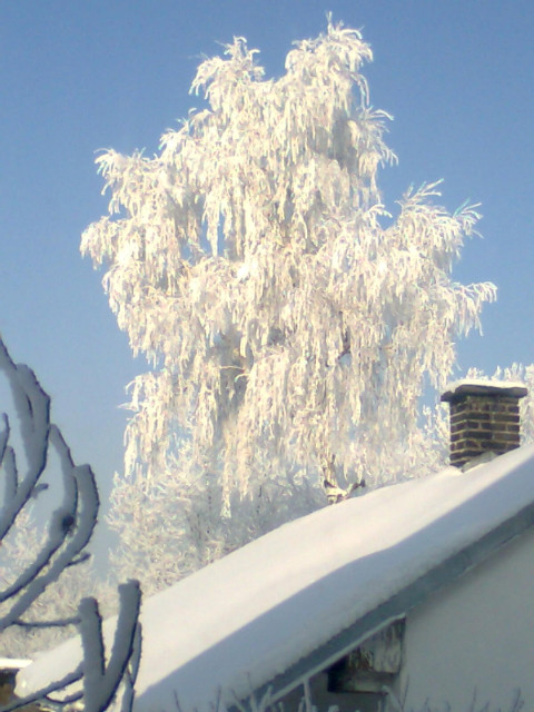 Zima 2010 . 
