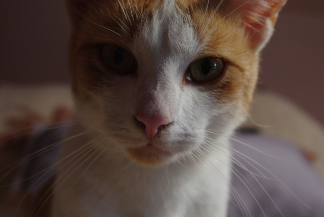 Rudyyy &#9829;
