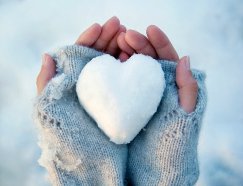 snow, snow, snow....!