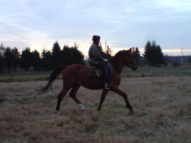 Maciek & Saturn