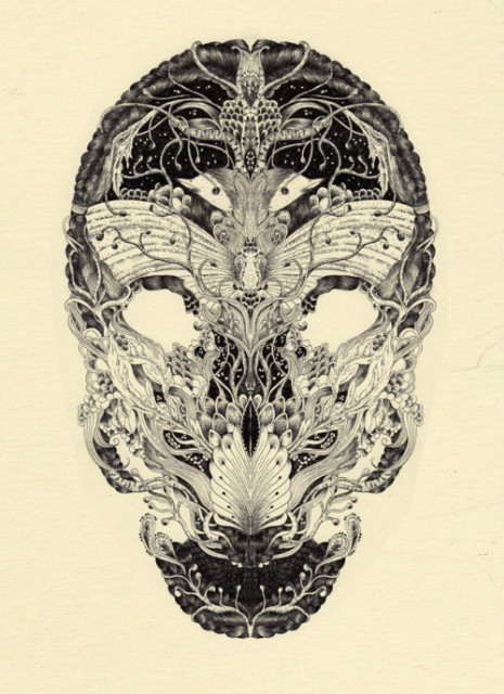 skull