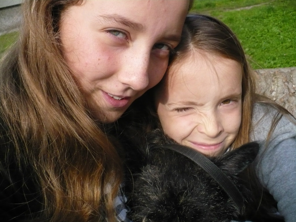stare ale jare x33