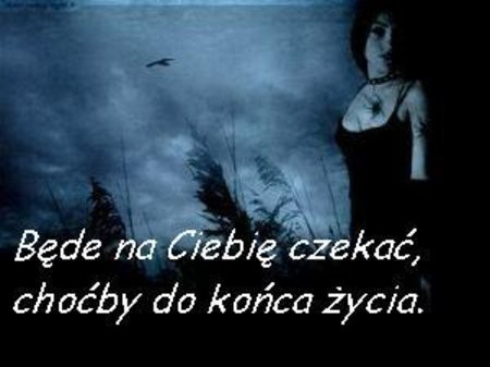 Kociaczek;*