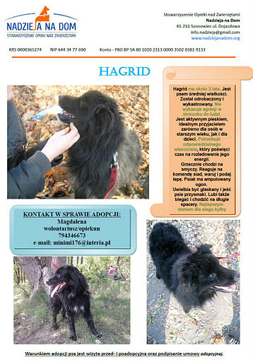 Hagrid-firmwka