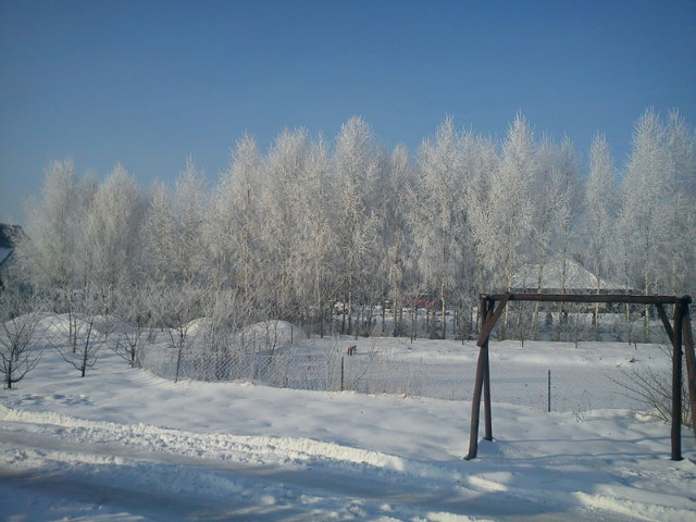 nieporozumienie. 