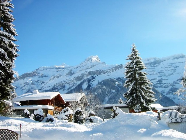 ZIMA 2011