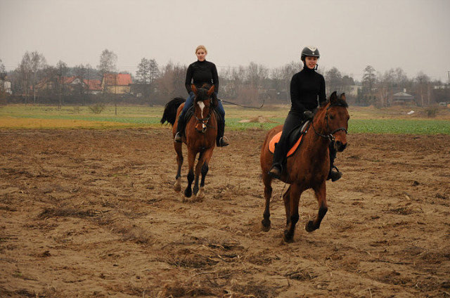 Marce i Siara ; p 