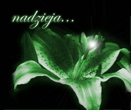 nadzieja...