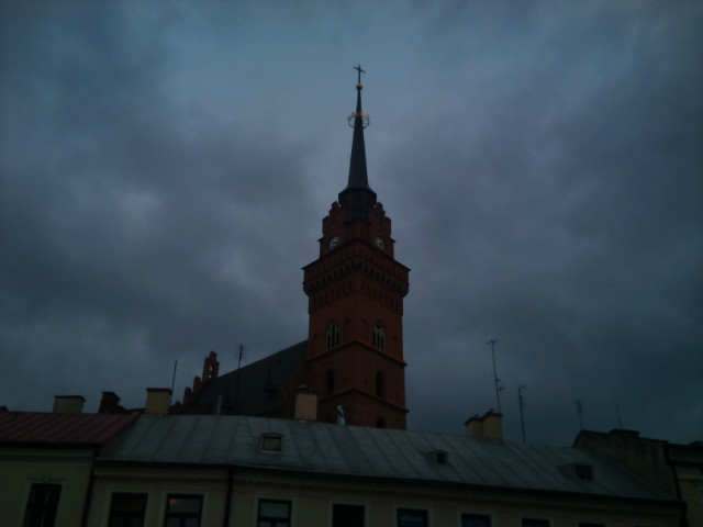 katedrlis.pl