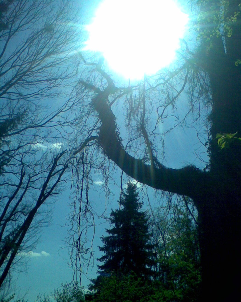 w ogrodzie botanicznym;)