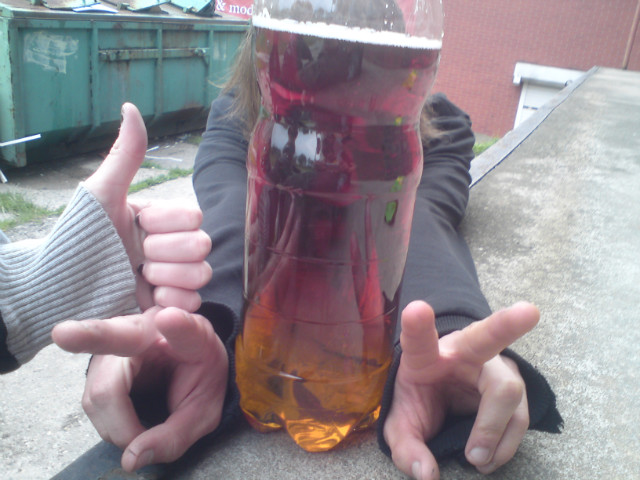 sam jeste gupi ;3