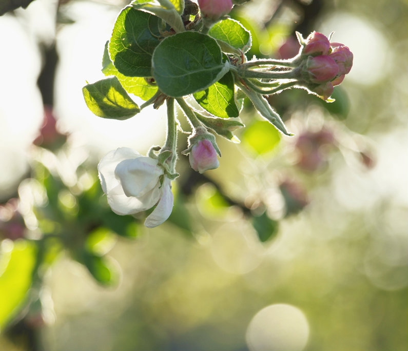 Spring in the air