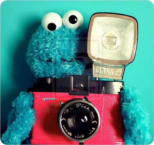 Cookie , Cookie , Cookie !!
