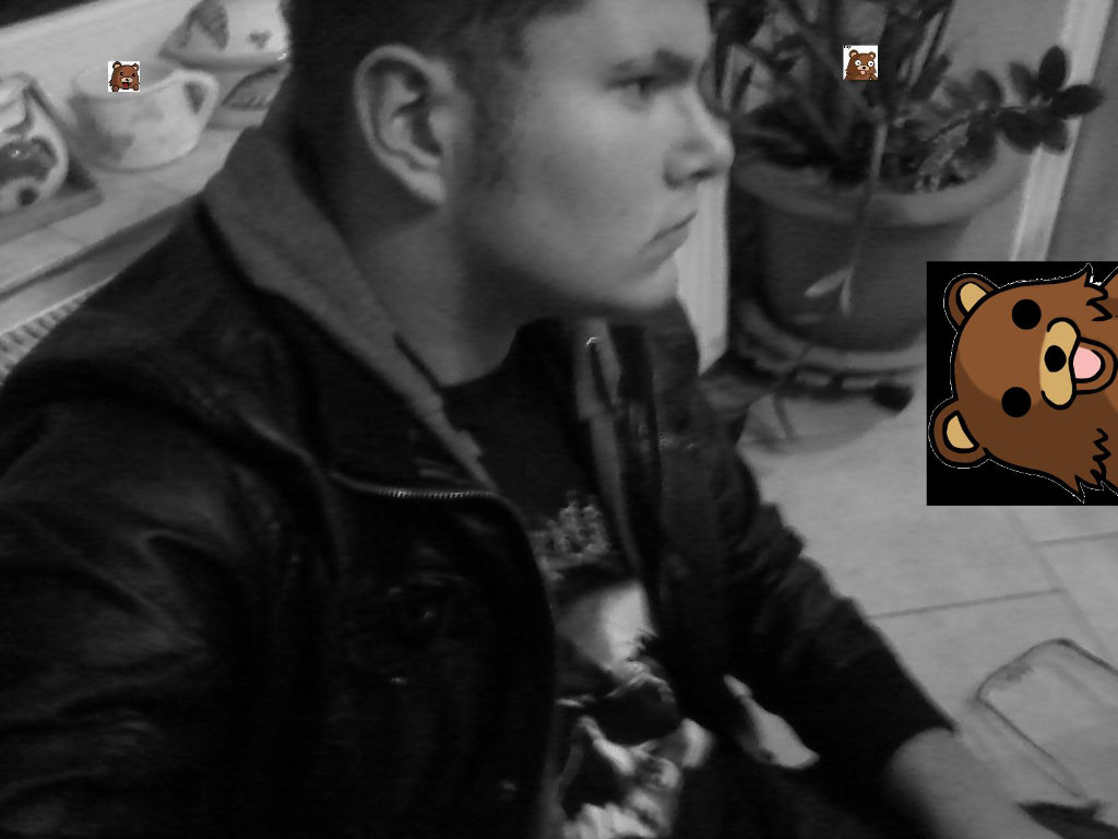 Pedwied ; D