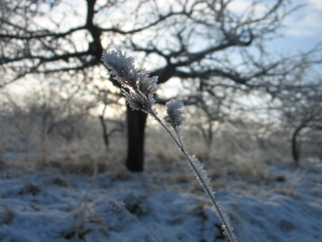 Durante el invierno.