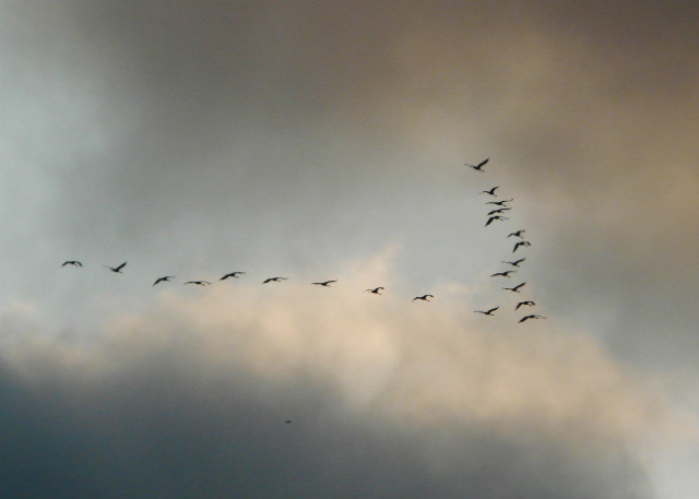 Me gusta mirar a cielo con t.