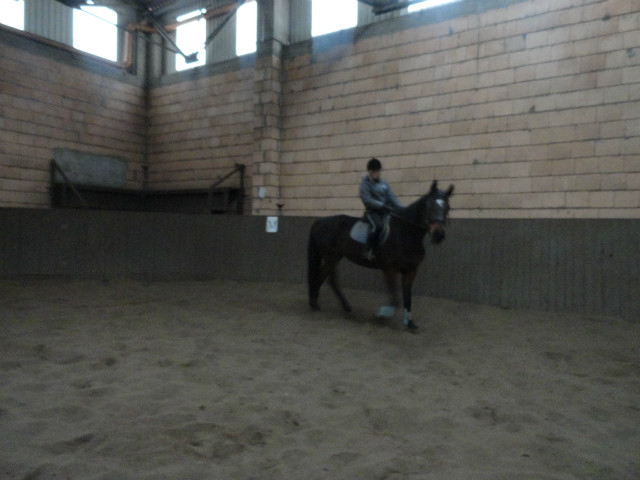Rybeczka ^.^
