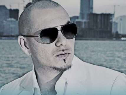pitbull 