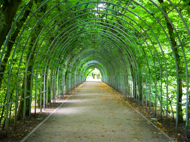 Tunel