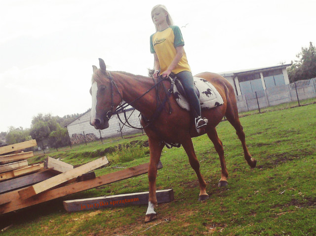 Taila .