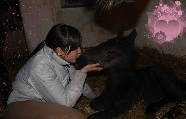 Misiek;*