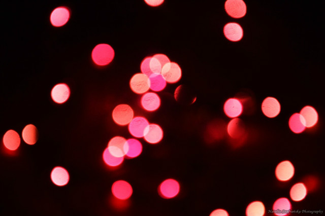 Bokeh.
