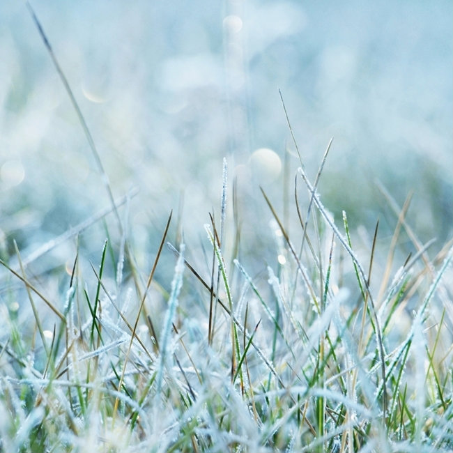 cold