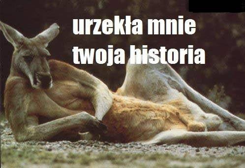 Urzeka mnie moja hstoria...