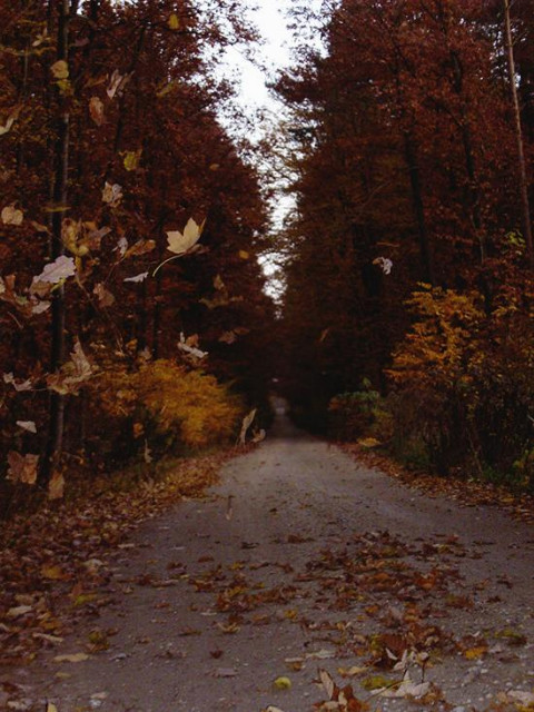 last fall evening