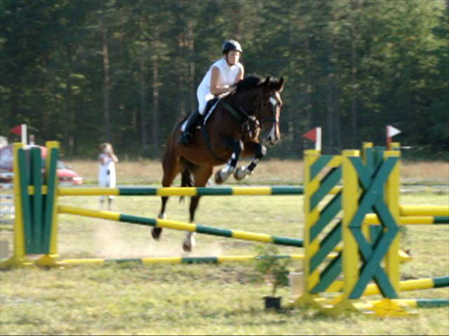 ZT-B Polichno 2011
