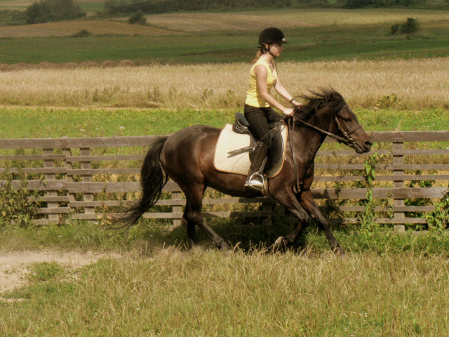 Pestka ! :*