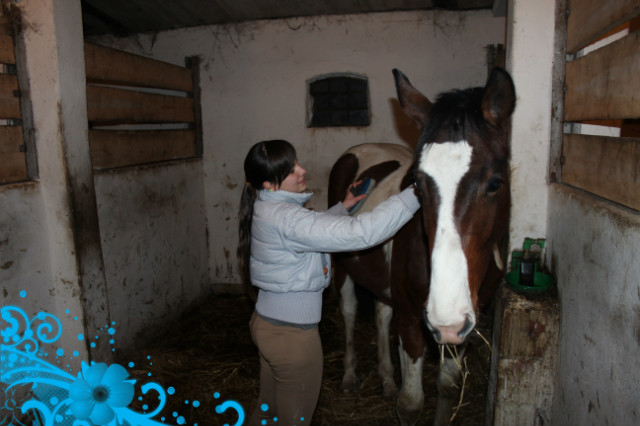 Niuniek;*