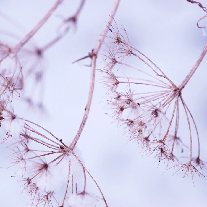 winter 2012