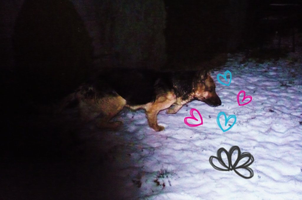 lovciam < 33