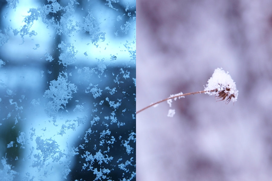 winter 2012