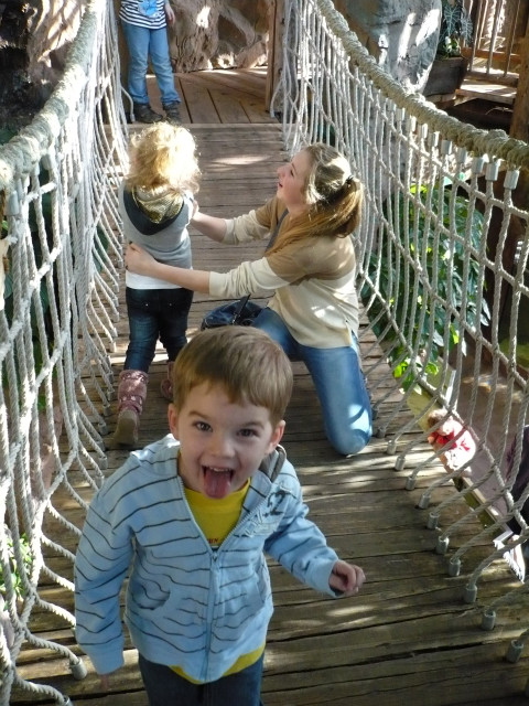 Haus des meres 